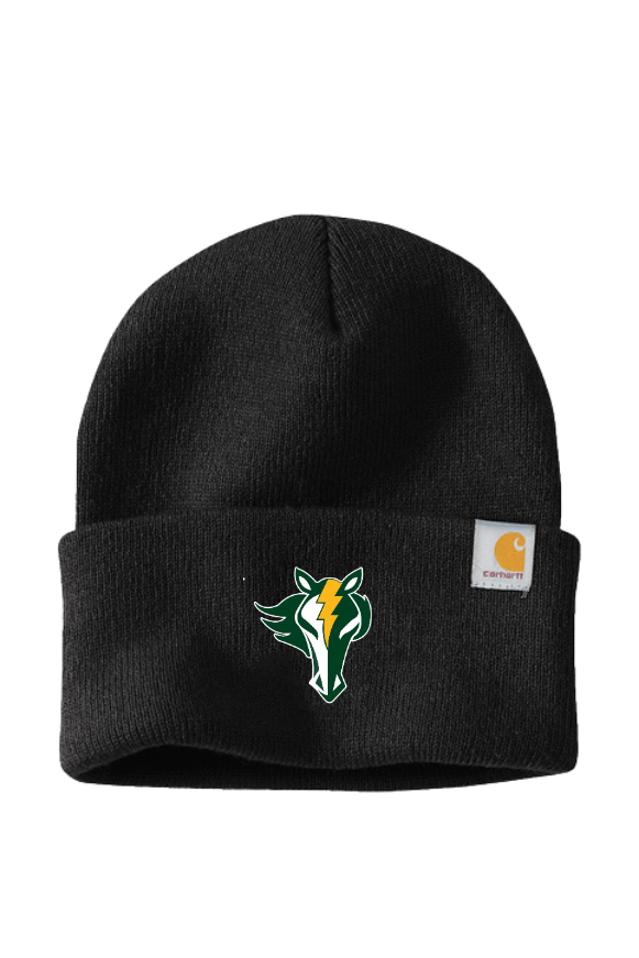 KR - Carhartt Beanie